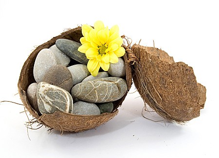 zen spa stones with flowers studio isolated