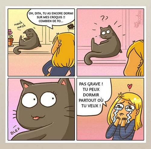 Histoire de chats (j'adore)