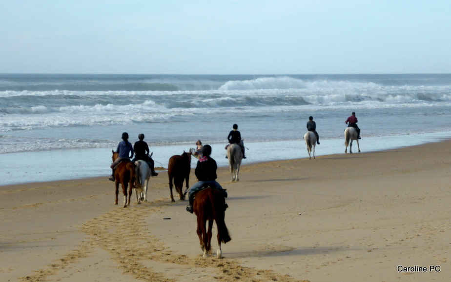*Promenade à cheval sur la plage*