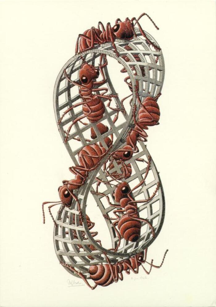 48 Tableaux de Maurits Cornelis Escher