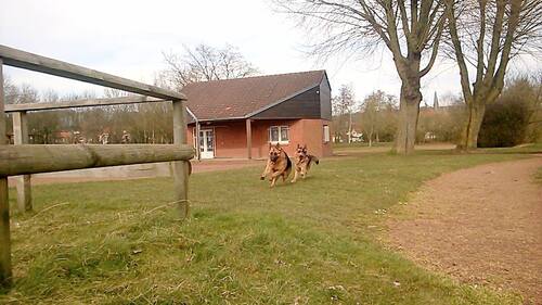 • balade avec les deux loups •