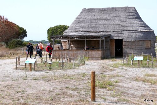 La fête de la nature au Barcarès 