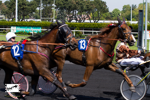 PRIX PMU GRAND SAINT-HUBERT BOESCHEPE