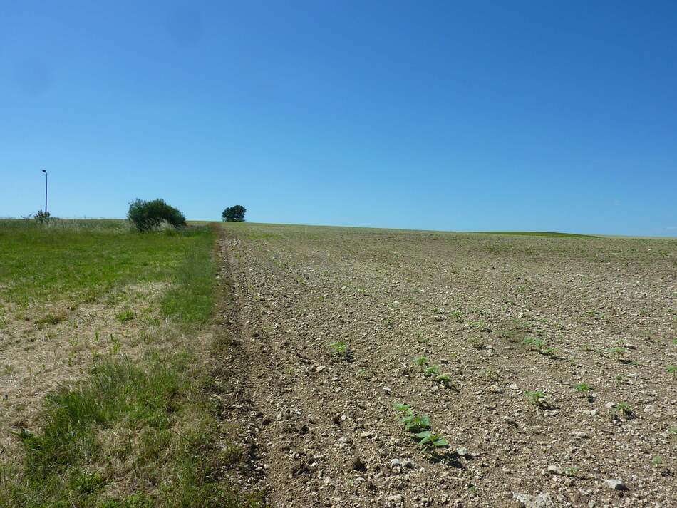 Toujours au ralenti.