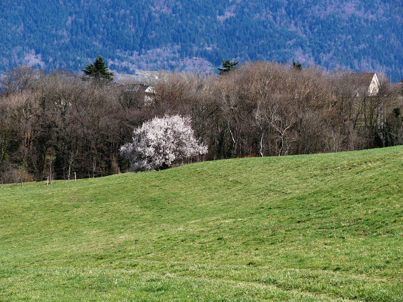 2023.03.16 Village de Tavernolles (département Isère) 2