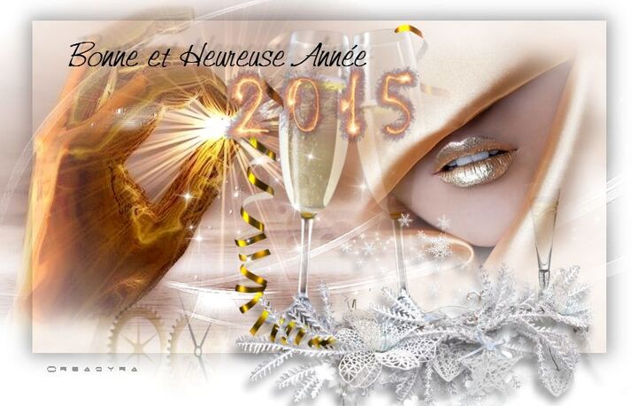 Bonne Année !