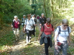 La randonnée du 21 octobre en forêt de Grimbosq