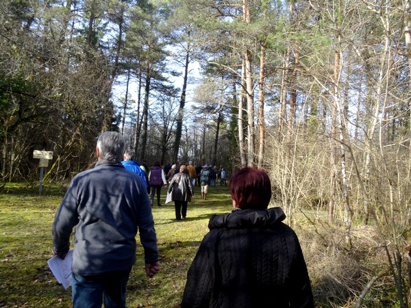 Visite de Vertillum avec Jacky Bénard archéologue...