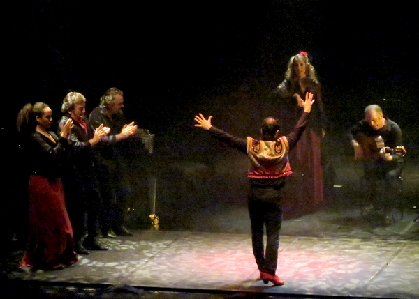 "Carmen Flamenco", un superbe spectacle de théâtre, de danse flamenco et de chant a enthousiasmé les spectateurs du Théâtre Gaston Bernard !