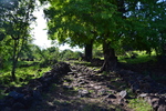 Randonnée de la Grande Fontaine au Bassin Sandrine par le Chemin Charrette Boeuf