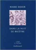 Marie Didier, Dans la nuit de Bicêtre, Gallimard