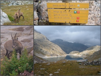 Un petit tour du côté du Mercantour... (2007)