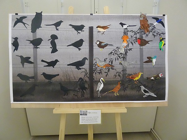 Les élèves des écoles ont réalisé de très belles compositions d'oiseaux pour la nuit des musées 2016