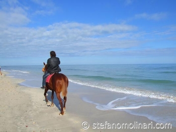 t00-djerba-beach-00