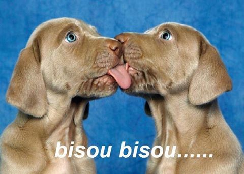 BISOUS  2