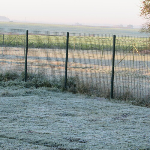    -belle gelé ce matin