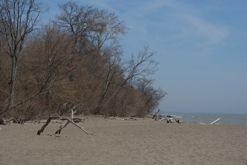 Découvrez les rives du lac Erié 