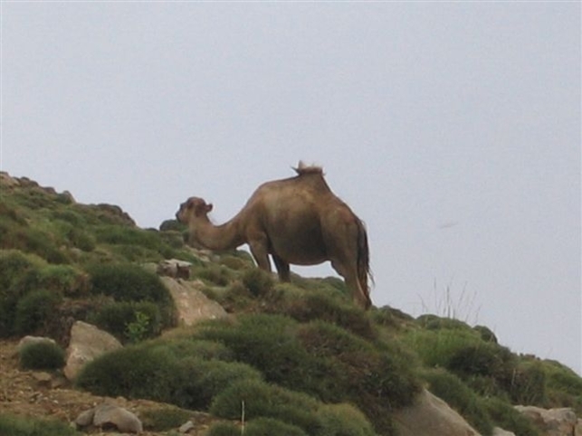 Splendeurs du Sud Maroc