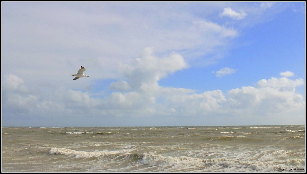 Dimanche de grande marée - Vendée