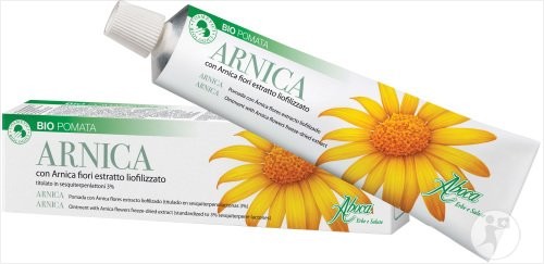 Arnica montana : une fleur précieuse