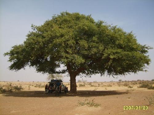 1° repas au Mali avec spectateurs