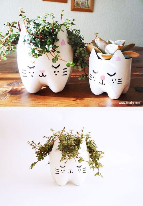 Création d' un pot de fleur en chat
