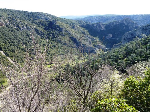 Autour de St-Guilhem le Désert et Lac du Salagou (Avril 2022)