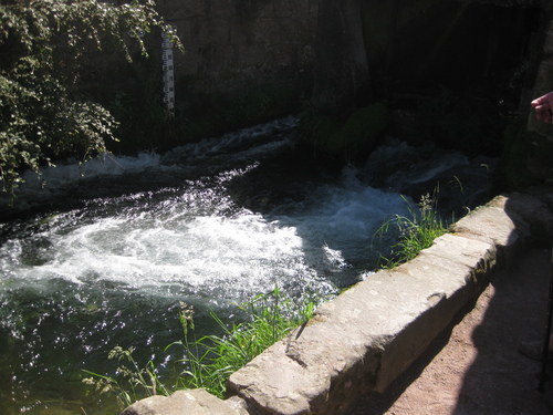 Un peu d'eau de la Veules pour rafraîchir !