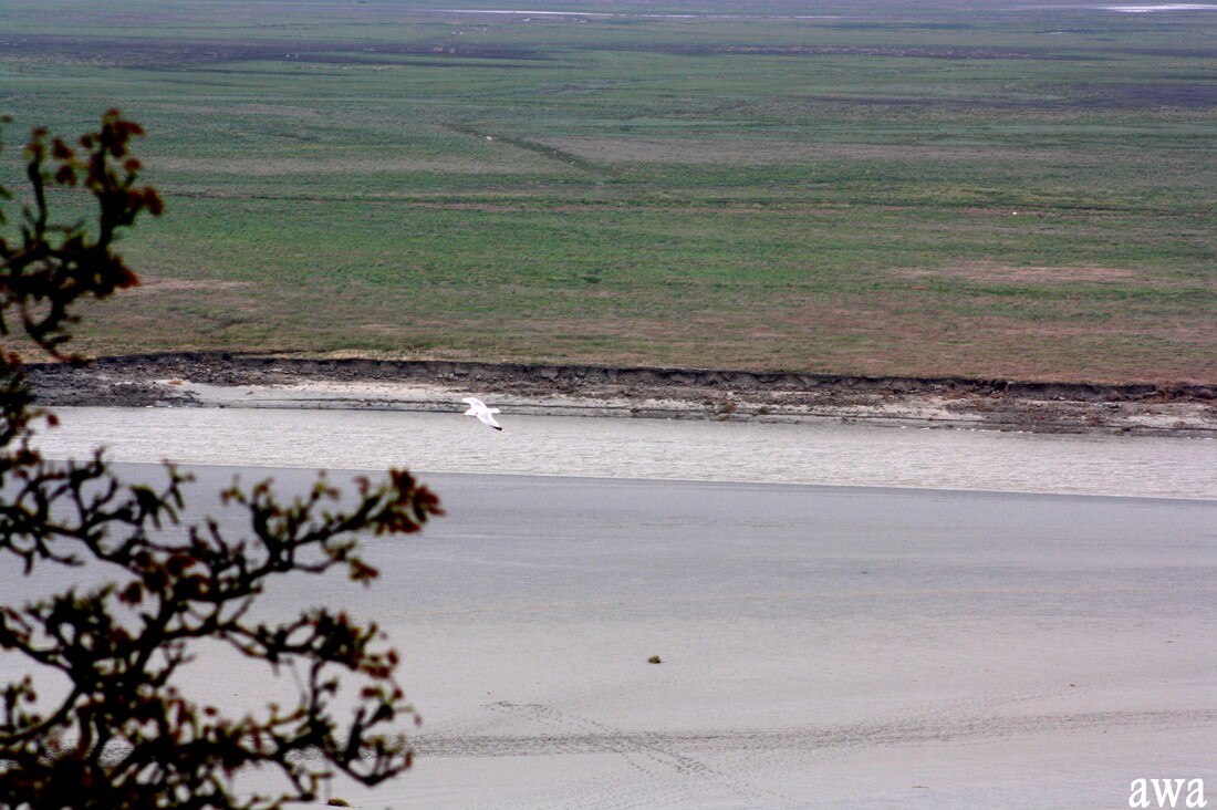 Normandie mai 2017 : Visite du Mont Saint Michel  ( 3 )