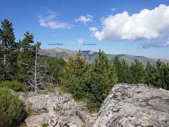 Panorama depuis la jasse