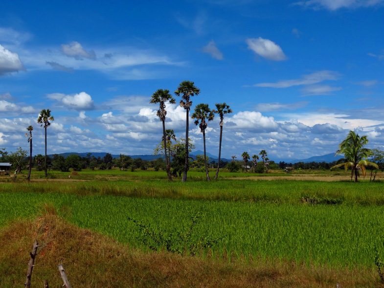 Laos: Sud - Plateau des Bolovens