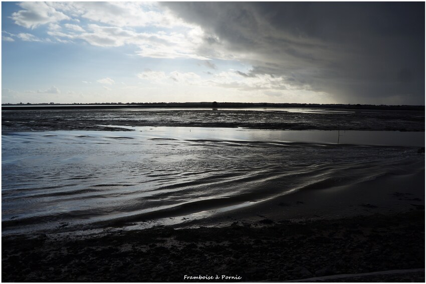 Réserve ornithologique Marais Mullembourg Noirmoutier en l' île 