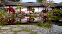 Avril-jardin japonais