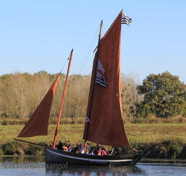 La Bogue d'Or et ses jolis bateaux