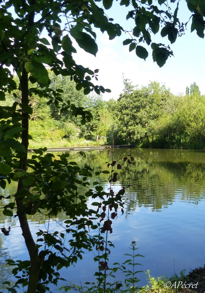 Amiens en pleine nature 