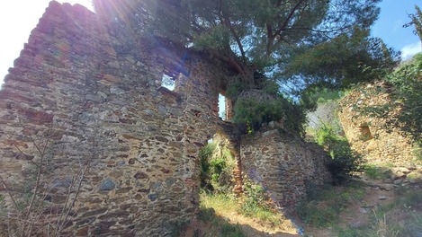 Peut être une image de plein air, arbre et mur de briques