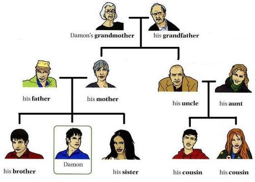 Family Vocabulary