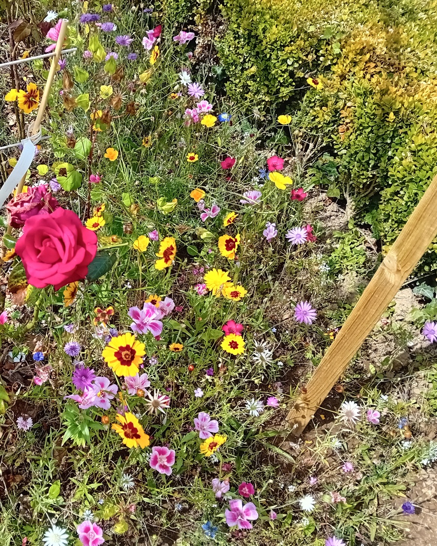  les jardins pour butineuses 