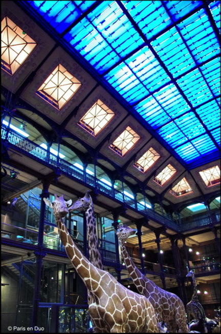 La Grande Galerie de l'Evolution - Musée d'Histoire Naturelle