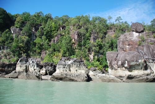 Mardi 16 juillet dans la jungle à Bako