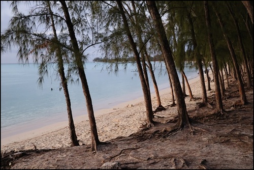 Mont Choisy, île Maurice 2024