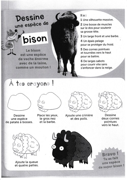 Apprendre à dessiner un bison
