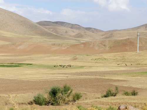 Iran Paysages de crèmes galcées fondantes