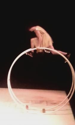 CM1 A spctacle de cirque pour noel