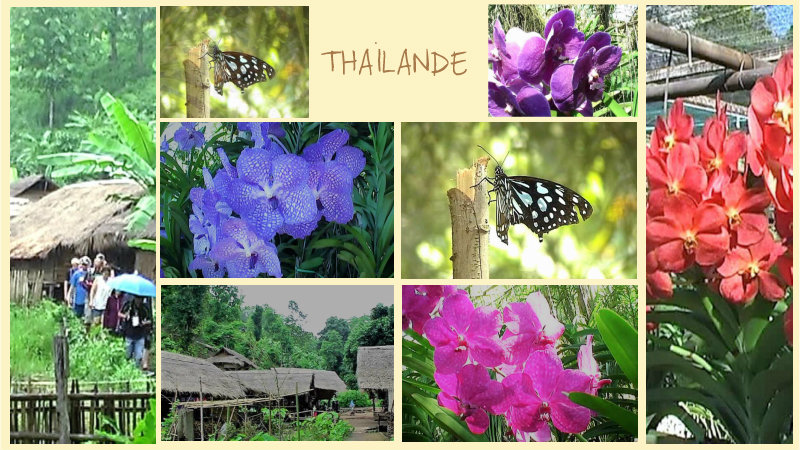 25/4/19 - Thaïlande (9/10)...
