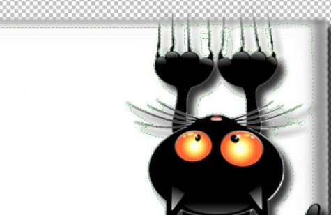 remplir un arrière plan avec un motif ou image