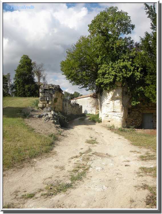 Château du Bouilh - les chais