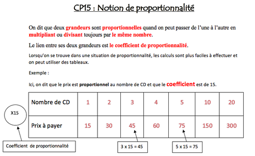 CP15 : Notion de proportionnalité