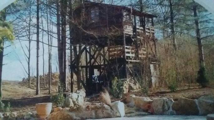 Cabane dans les arbres