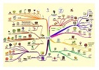 cours-food-complet-mind-map